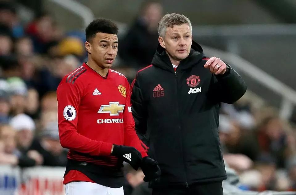 因为它们不 因为它们不